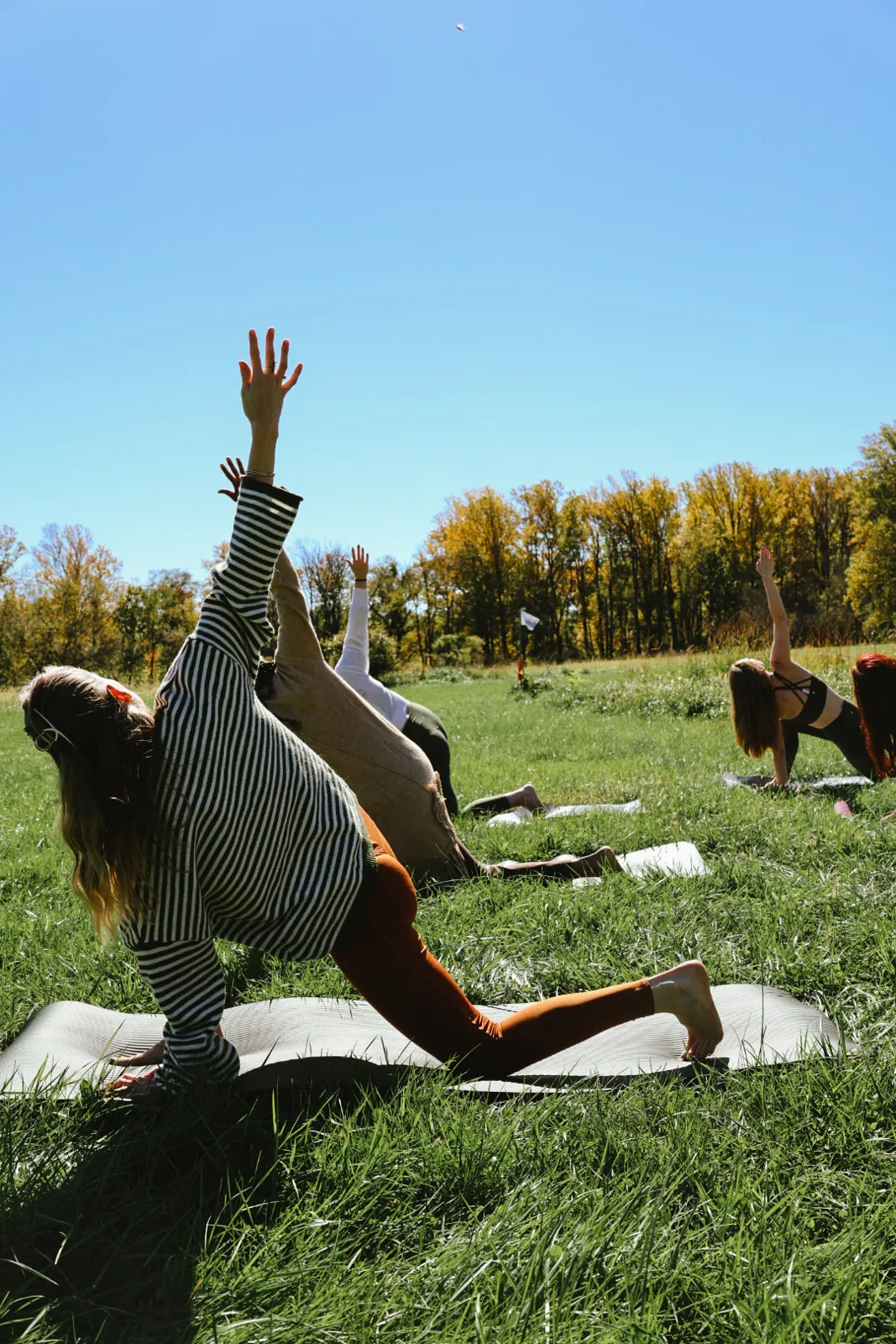Two women in low lunges on mats in an open field